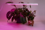 Светодиодный светильник для растений 18W, пластик, с сетевым и соединительным шнуром в комплекте, AL7001