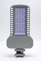 SP3050 уличный 125LED*100W - 5000K AC230V/ 50Hz цвет серый (IP65)