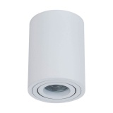 C016CL-01 WПотолочный светильник Maytoni Alfa 