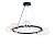 D2031R-DWS-14 BLACK G9 (1) Люстра