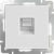 Белый - Розетка Ethernet RJ-45 /WL01-RJ-45  Werkel